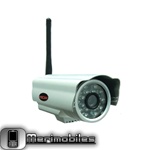 Waterproof IR IP Camera FI8903W
