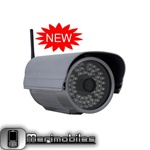 Waterproof IR IP Camera FI8905W