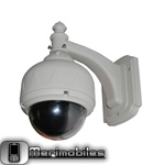 Medium-speed dome Network Camera FI8620