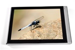 Upad F4 8in Capacitive RK2918 1.2Ghz 1080p HDMI 8GB Gingerbread 5 point Multitouch+ Free Case