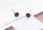 Lovely Polychromatic Crystal Studs
